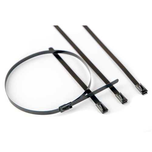 311255EP ДКС - Хомут 12x550. Сталь ANSI 316. С EP покрытием