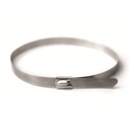 Хомут из нержавеющей стали AISI 316 8х600 27616 DKC
