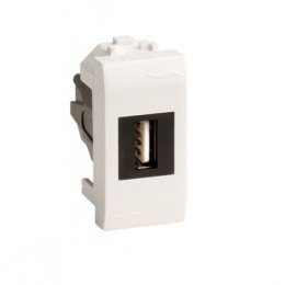 USB 2.0 розетка, Brava, белая, 1 мод. 76200B DKC
